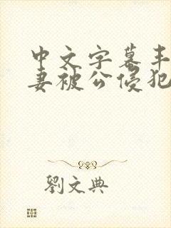 中文字幕丰满人妻被公侵犯