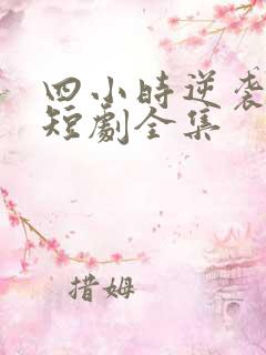 四小时逆袭指南短剧全集