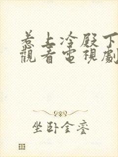 惹上冷殿下免费观看电视剧大全