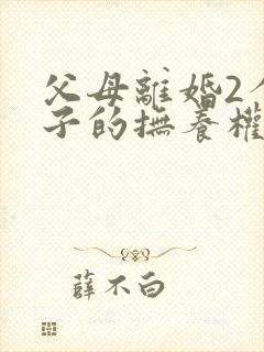 父母离婚2个孩子的抚养权怎么判定