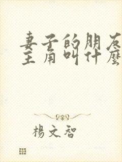 妻子的朋友的女主角叫什么