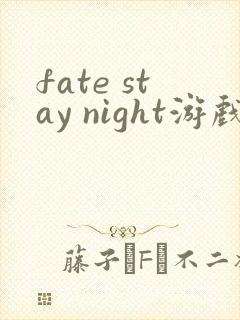 fate stay night游戏资源