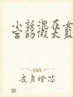 小说混在女帝后宫的假太监txt