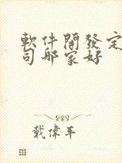 软件开发定制公司哪家好