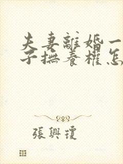 夫妻离婚一个孩子抚养权怎么判定