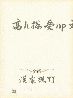 高h总受np文