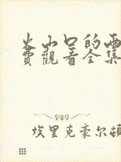 火山口的两人免费观看全集完整版