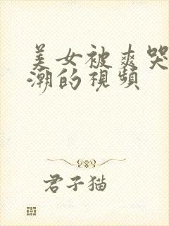 美女被爽哭到高潮的视频