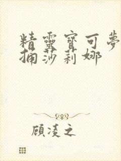 精灵宝可梦小智捅莎莉娜