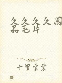 久久久久国产精品毛片