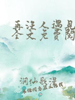 再没人遇见小说全文免费阅读