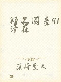 精品国产91高清在