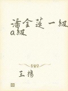 潘金莲一级淫片a级