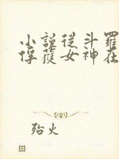 小说从斗罗开始俘获女神在线阅读全文