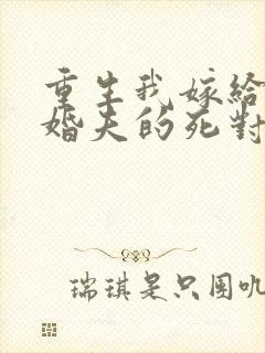 重生我嫁给了未婚夫的死对头全文