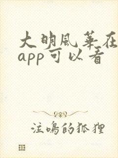 大明风华在哪个app可以看