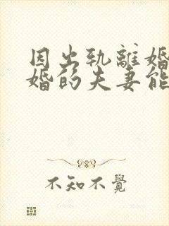 因出轨离婚后复婚的夫妻能幸福吗