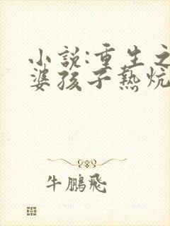 小说:重生之老婆孩子热炕头
