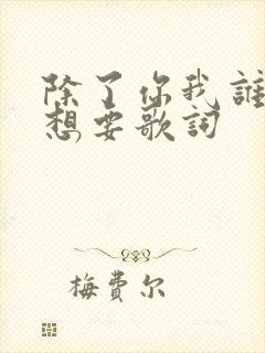 除了你我谁都不想要歌词