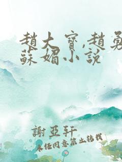 赵大宝,赵勇,苏媚小说