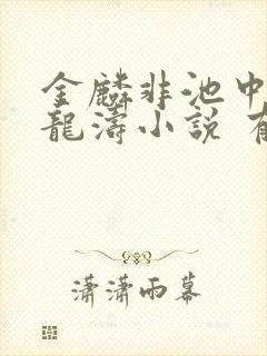 金麟非池中物侯龙涛小说 有声