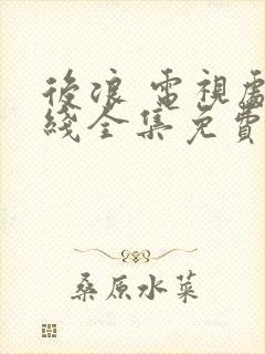 后浪 电视剧在线全集免费