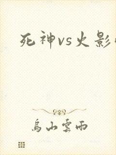 死神vs火影雨
