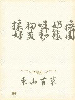 揉胸吸奶操的我好爽动态图