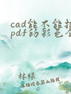 cad能不能把pdf的彩色全变成黑白
