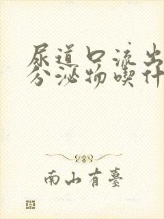 尿道口流出黄色分泌物吃什么药