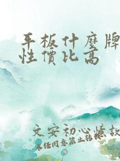 平板什么牌子好性价比高