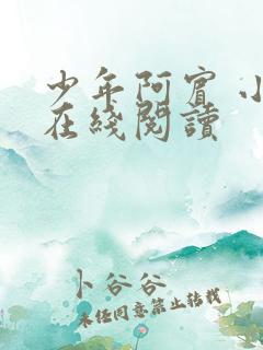 少年阿宾 小说在线阅读