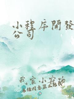 小程序开发企业公司