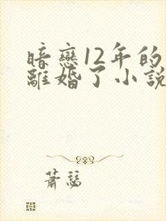 暗恋12年的他离婚了小说免费阅读