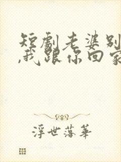 短剧老婆别追了,我跟你回家