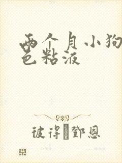 两个月小狗吐白色粘液