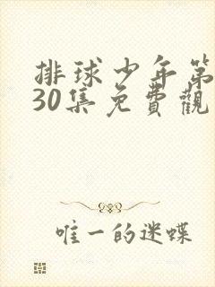 排球少年第二季30集免费观看