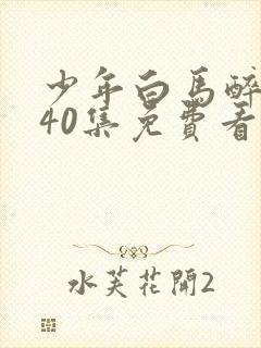 少年白马醉春风40集免费看