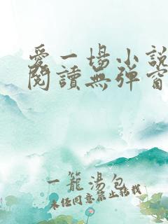 爱一场小说免费阅读无弹窗全文