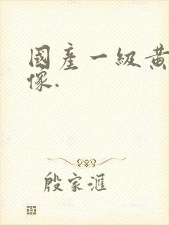 国产一级黄色录像.