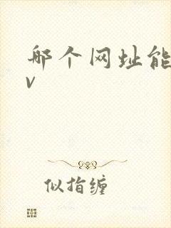 哪个网址能看av