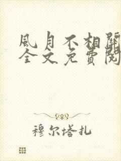 风月不相关小说全文免费阅读