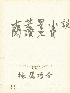 七芒星小说全文阅读免费