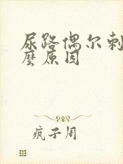 尿路偶尔刺痛什么原因