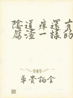 阴道痒还有像豆腐渣一样的东西