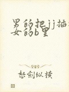 男的把jj插进女的b里