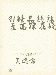 91精品丝袜国产高跟在线