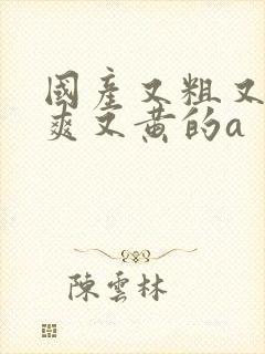 国产又粗又猛又爽又黄的a