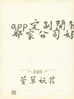 app定制开发哪家公司好