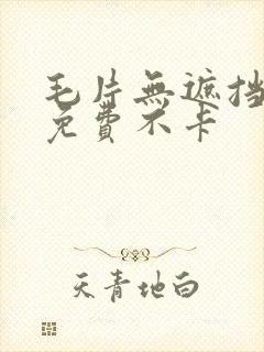 毛片无遮挡高清免费不卡